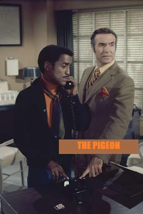 The Pigeon
